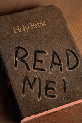 Do You Know What It Takes To Read The Bible Through In A Year?